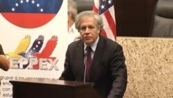 Secretario General de la OEA: No debe haber presos políticos en el continente