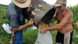 Pésimas condiciones en sector campesino de Cuba 