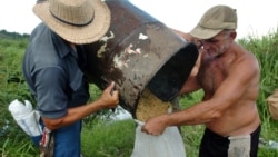 Cooperativas endeudadas incumplen pagos a obreros agrícolas