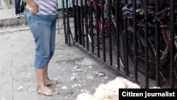 Pinar del Río Desechos de un restauran lo tiran para la calle Foto Daudy Hermelo.