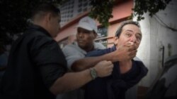 Los pingúinos y la oposición cubana