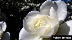 En Familia con Alfredo Rodríguez 