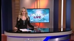 Antena Live