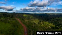 Area de deforestación en Amazonas, estado Pará, el 13 de marzo de 2019. (Foto de Mauro Pimentel/AFP).