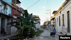 Un hombre camina entre plantas de banano que crecen en una calle de La Habana, Cuba, el 12 de febrero de 2025. REUTERS/Norlys Perez