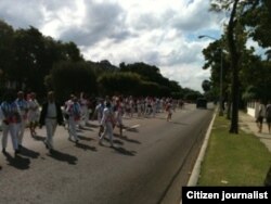 Reporta Cuba Damas de Blanco marchan por 5ta Ave Foto Cortesía de Angel Eberto EScobedo