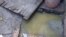 Derrame de aguas albañales en una vivienda de Arroyo Naranjo. (Tomado de Facebook de Yolanda Santana)