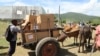 Voluntarios de Cáritas trasladan ayuda humanitaria de EEUU en carreta de bueyes por crisis energética en Cuba. 