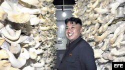 El líder norcoreano, Kim Jong-un, durante la visita a una fábrica en Corea del Norte. Su régimen ha sido acusado por la ONU de violaciones a los derechos humanos.
