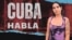 Banner 547