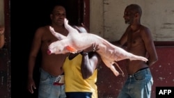 Un hombre carga un cerdo en sus hombros en una calle de La Habana. (YAMIL LAGE / AFP)