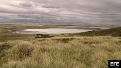 Paisaje de las islas Falkland/Malvinas