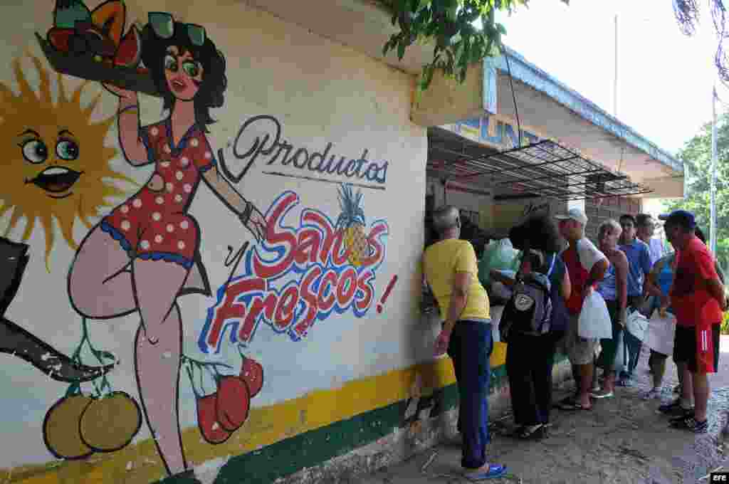 Punto de venta de un huerto urbano en La Habana (Cuba). Los populares "organopónicos" son una red de más de 10.000 hectáreas de tierras y puntos de venta que entregan un millón de toneladas de hortalizas, vegetales y condimentos al año y parte de la agric