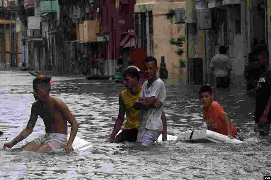 Afectaciones de Irma en La Habana. Foto Elio Delgado. 