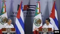 Durante visita de Raúl Castro a México en noviembre.