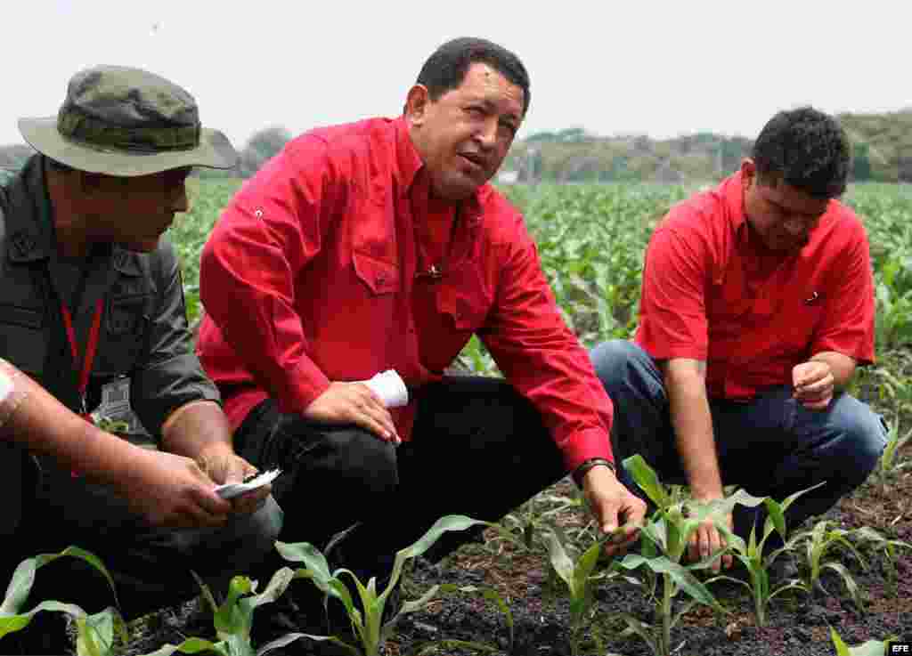 CEl presidente de Venezuela, Hugo Chávez, visita el 24 de abril de 2008, al Centro Técnico Productivo Socialista "Florentino" en el estado Barinas.