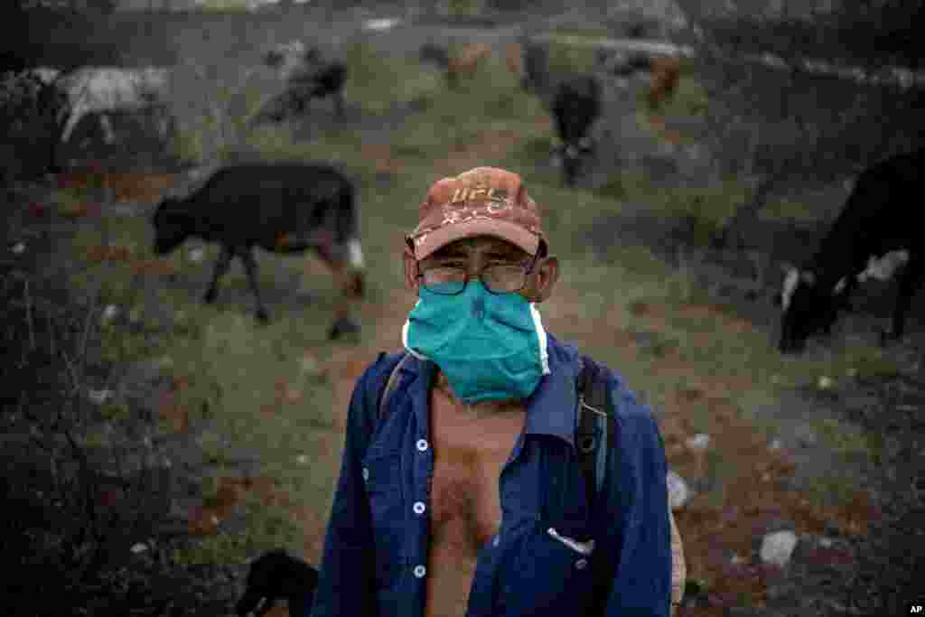 Arcia Mendoza, un ganadero cubano se protege del coronavirus. AP Photo / Ramon Espinosa