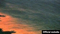 Las algas tóxicas que dan el nombre a la "marea roja" aparecen casi todos los años y pueden ser particularmente devastadoras. (Foto de la NOAA)