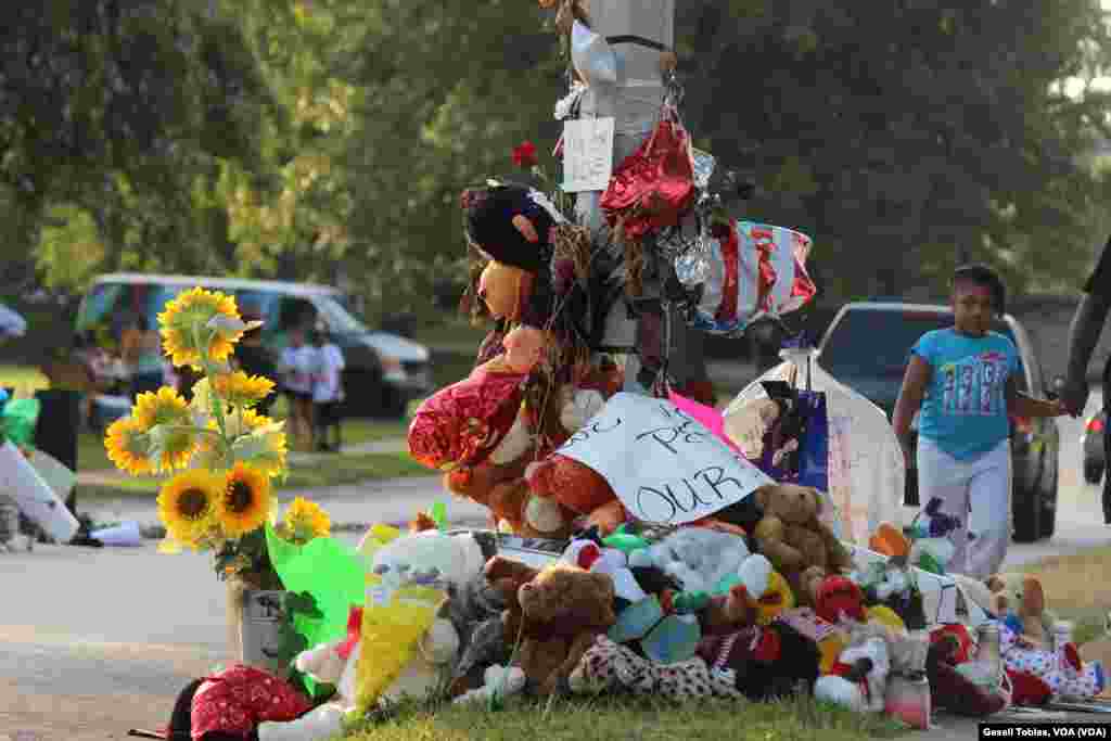 Decenas de rosas, fotos, globos y recuerdos de todo tipo adornan la calle Canfield Dr. en donde murió el joven Michael Brown. [Foto: Gesell Tobias, VOA]