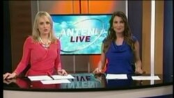 Antena Live