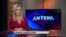 Antena Live | 8/11/2017
