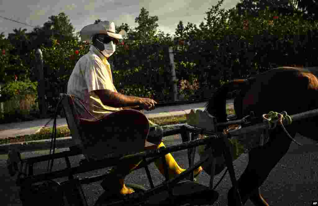 Un campesino usa nasobuco como protecci&#243;n contra el el COVID-19 en el barrio La Gallega, al este de La Habana. (AP/ Ramon Espinosa)