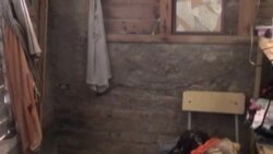 Balseros cubanos: ¿Símbolo de fracaso o perseverancia?