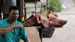 El cerdo vuelve a ser un lujo que no pueden darse muchos cubanos