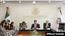 Audiencia en el Senado mexicano.