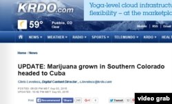 El reportaje de KRDO Canal 13 afirma que el destino final de la marihuana trasegada de Colorado a la Florida era Cuba.