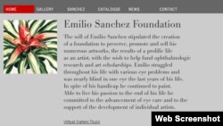 Emilio Sanchez Foundation