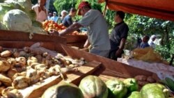 Campesinos hablan de las verdaderas trabas al desarrollo agrícola de Cuba
