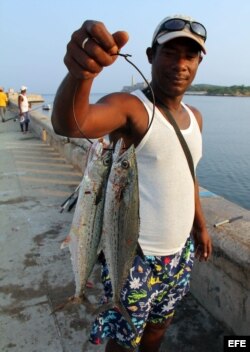 Un hombre muestra la pesca del día frente al Malecón habanero.