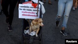 Marcha por los animales en La Habana el 7 de abril de 2019.