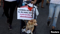 Marcha por los animales en La Habana el 7 de abril de 2019. (Reuters/Fernando Medina).