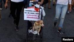 Marcha por los animales en La Habana el 7 de abril de 2019.