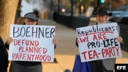 Simpatizantes del Tea Party se manifestan en contra del aborto. 