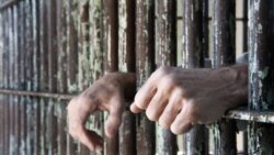 Experto: Cuba libera o excarcela a conveniencia a sus presos políticos