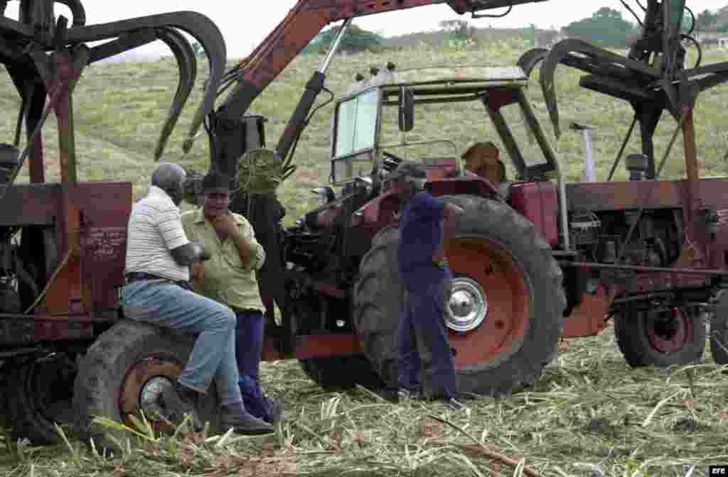 Campesinos conversan en un campo de caña de azúcar, junto a una cortadora-alzadora. 
