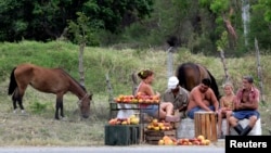Una familia de campesinos cubanos vende mangos en la carretera. Foto Archivo REUTERS/Desmond Boylan