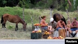 Una familia de campesinos cubanos vende mangos en la carretera.
(REUTERS/Desmond Boylan/Archivo)
