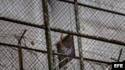 Leopoldo López se asoma por una ventana de su celda en la Prisión Militar de Ramo Verde, desde donde saluda a su esposa, Lilian Tintori, y a su madre, Antonieta Mendoza de López.
