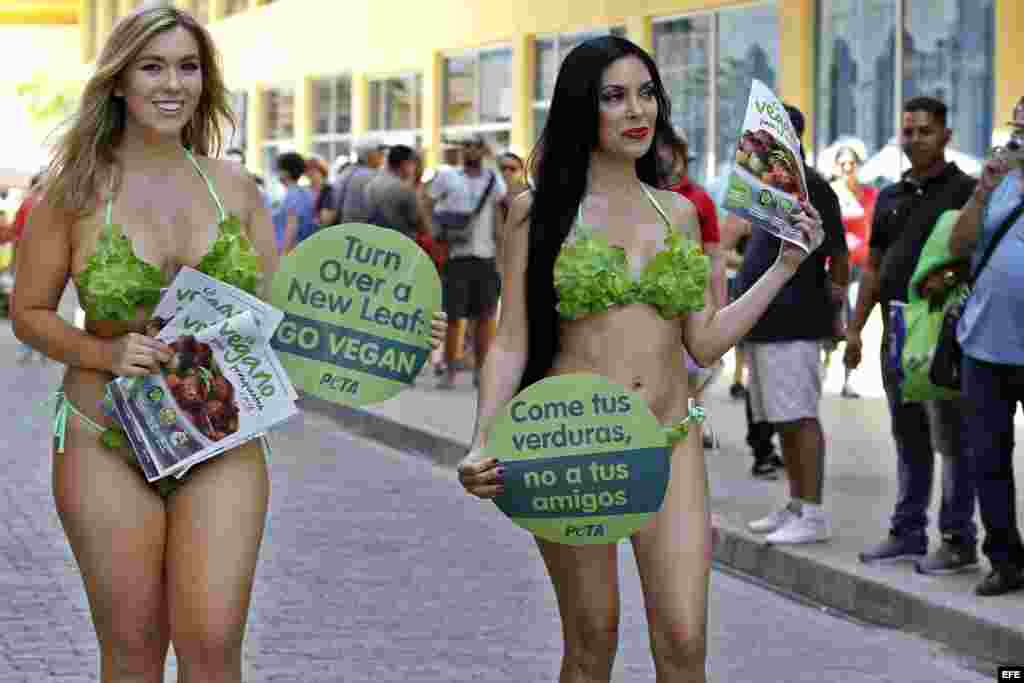 Las damas lechuga aseguran que en Cuba "no es difícil" el estilo de vida vegetariano. 