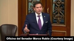 El senador cubanoamericano Marco Rubio. 
