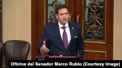 El senador republicano de origen cubano, Marco Rubio.