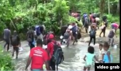 Desde Capurganá, Colombia, migrantes cubanos procedentes de Turbo, incluidos niños, se internan en la Selva del Darién rumbo a Panamá