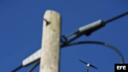 FFO106 KREMMEN (ALEMANIA) 30/09/2013.- Un cuadricóptero pinta un cable de cobre con ADN sintético durante una presentación a los medios de Deutshe Telekom cerca de Kremmen (Alemania) hoy, lunes 30 de septiembre de 2013. La compañía alemana de telecomunica
