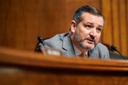Senador Ted Cruz. REUTERS/Joshua Roberts
