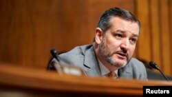 El senador cubanoamericano Ted Cruz ha impulsado el desafío de esta coalición de senadores. (REUTERS/Joshua Roberts).