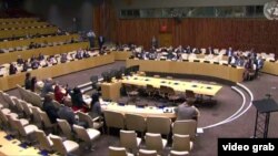 Panel “Jailed for What?" (Presos ¿por qué?) celebrado en el Consejo de Económico y Social de las Naciones Unidas.